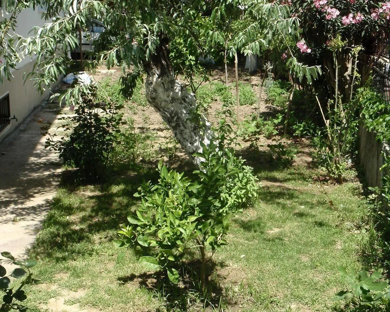 Liman Hotel Kusadası